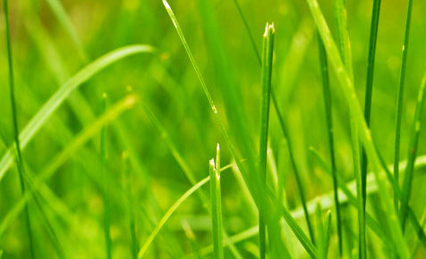 在线呼死你轰炸